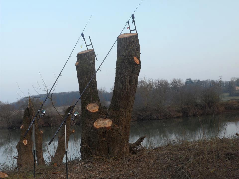 dupa net adunate - 4827864332439734256451792092405n.jpg